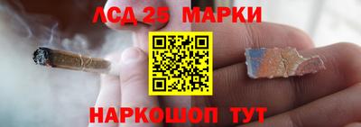 прущие грибы Волгодонск
